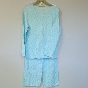 Womens Croft And Barrow Light Mint Pajamas